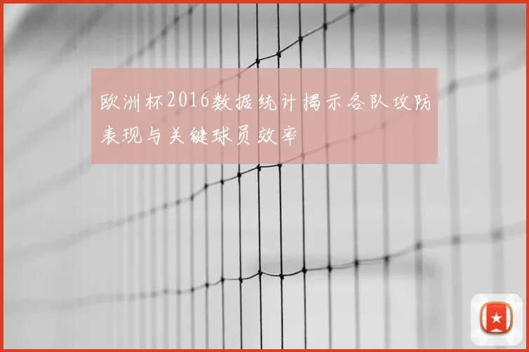 欧洲杯2016数据统计揭示各队攻防表现与关键球员效率