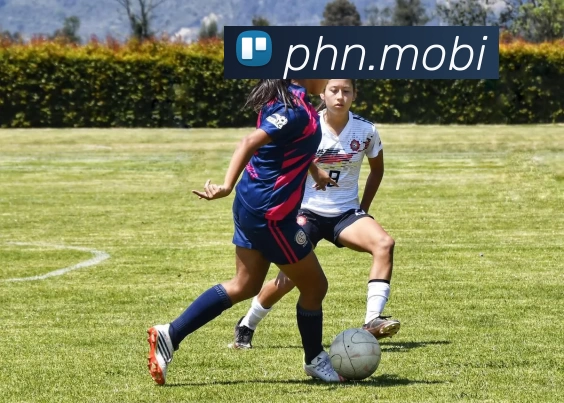 开云网页版·官方版在线登入 - 开云(中国)APP 体育赛事宣传图